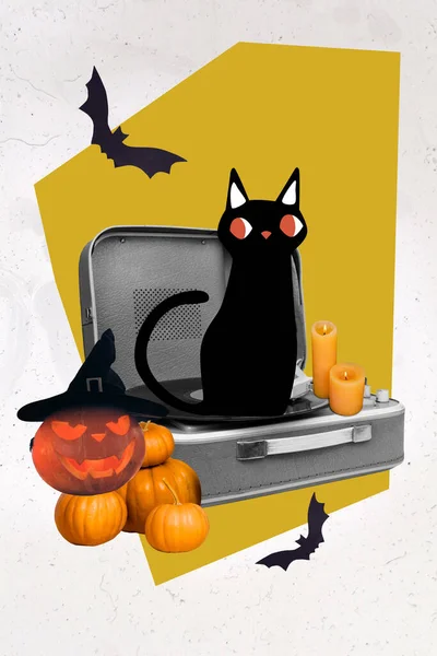 Collage Photo Little Sitting Black Cat Music Recorder Player Light — Stok fotoğraf