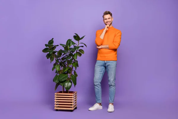 Full body photo of smart businessman have break at office place relaxing near green plant isolated on violet color background.