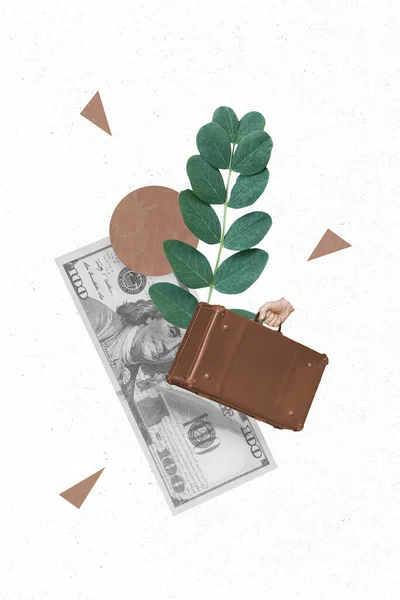 3d retro abstract creative artwork template collage of one hundred dollars banknote hand hold business briefcase green plant help ecology.