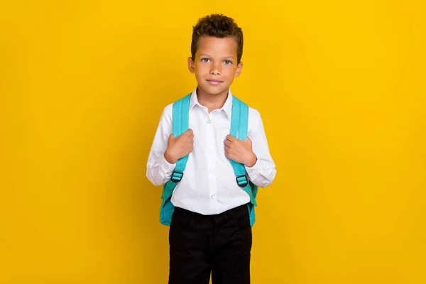 Portrait of intelligent diligent boy carry backpack isolated on bright yellow color background.