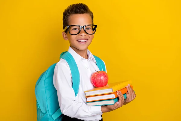 Portrait Intelligent Friendly Boy Arms Hold Pile Stack Book Apple — Foto Stock