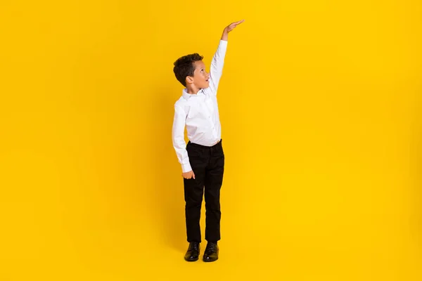 Full Size Portrait Positive Funny Boy Arm Demonstrate Empty Space — Stok Foto