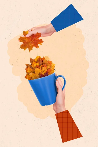 Tvůrčí Trend Koláž Dvou Rukou Kostkované Rukávy Sbírat Podzimní Listy — Stock fotografie