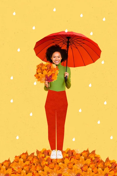 3d retro abstract creative artwork template collage of positive cute young woman holding umbrella bunch autumn fall leaves enjoy nature.