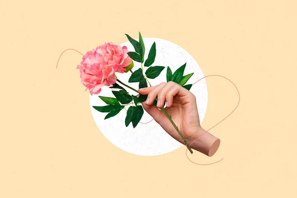 Collage Tendencia Creativa Mano Mujer Sosteniendo Suave Flor Rosa Peonía — Foto de Stock