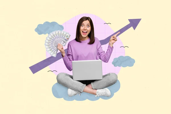 Creative Collage Photo Poster Postcard Happy Girl Sit Netbook Cash — Stock Photo, Image