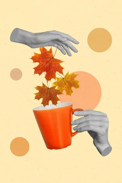 Vertikální Kreativní Koláž Obraz Rukou Sbírat Podzim Padající Zlatý Javor — Stock fotografie