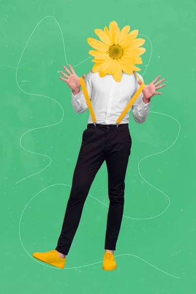 Tvůrčí Trend Koláž Pěkný Gentleman Žlutá Sedmikráska Květina Místo Hlavy — Stock fotografie