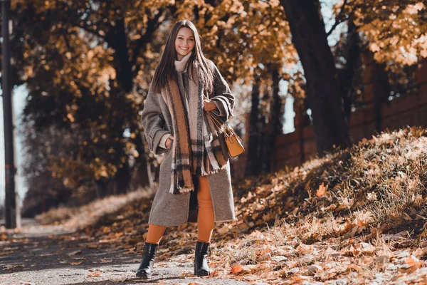 Foto Ukuran Penuh Dari Wanita Berambut Coklat Yang Funky Mengenakan — Stok Foto