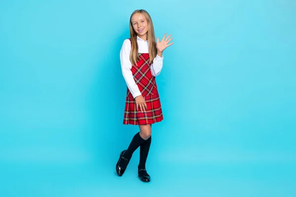 Full body size photo of little cute nice schoolgirl wear uniform showing five fingers hello world isolated on blue color background.