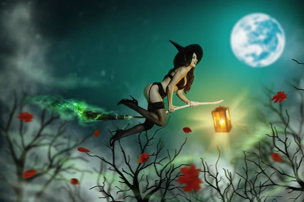 Yaratıcı Kolaj Sanat Kartpostal Posteri Cadı Kadın Sinek Gece Partisi — Stok fotoğraf