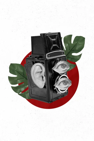 Вертикальный Коллаж Изображения Винтажной Фотокамеры Глаза Вместо Объективного Уха Слушать — стоковое фото