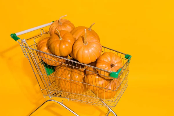 Photo of supermarket trolley shop cart pile stack pumpkin vegetable isolated on yellow color background.