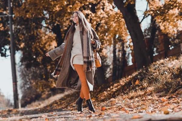 Full Length Photo Cute Brown Hairdo Lady Wear Coat Pullover — Stock Photo, Image