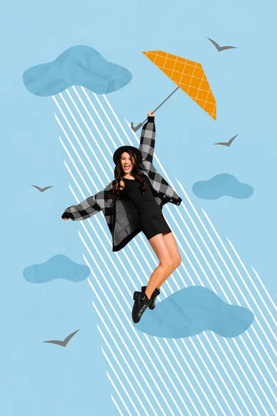 Collage Cartel Creativo Señora Activa Cuelgan Celebrar Volando Paraguas Fuerte —  Fotos de Stock