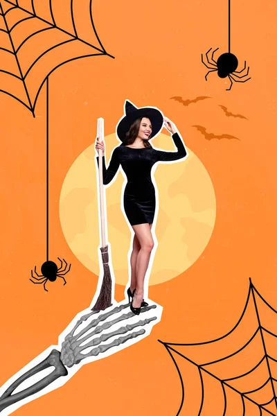 エレガントな女性ウィザードのポスターコラージュ準備ができて真夜中のハロウィン飛行のために隔離されたウェブスパイダー装飾された背景 — ストック写真