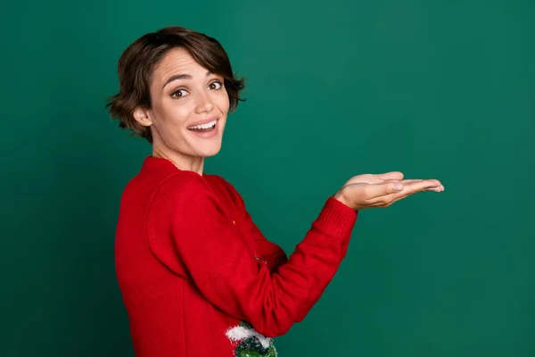 Photo of charming excited lady wear red sweater holding arms empty space isolated green color background.