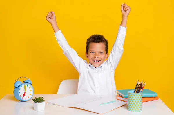 Photo Delighted Astonished Person Raise Fists Celebrate Achievement Accomplishment Isolated — Stock Photo, Image