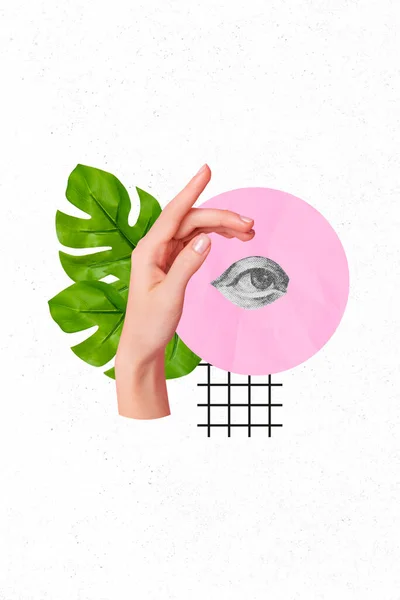 Vertikal Collage Bild Mänsklig Hand Grön Växt Blad Svart Vit — Stockfoto