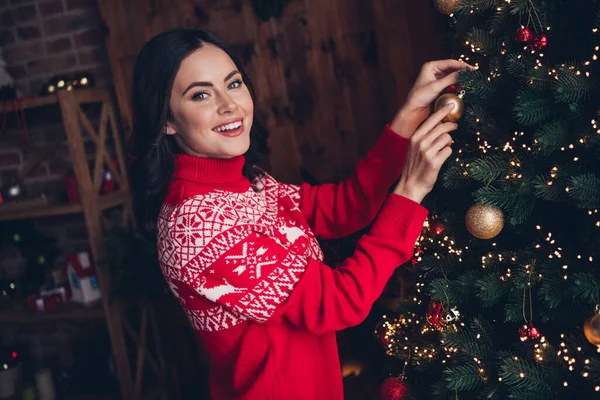 Profile portrait of positive lovely lady hands hold hanging bauble toy tree have good mood indoors.