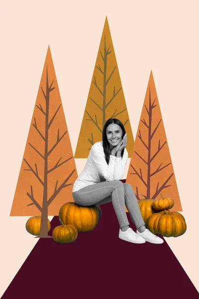 3d retro abstract creative artwork template collage of charming dreamy young girl sit orange ripe pumpkins spruce tree forest halloween.