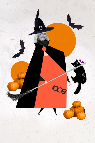 Colagem Foto Mulher Velha Usar Halloween Manto Fantasia Assustador Segurar — Fotografia de Stock