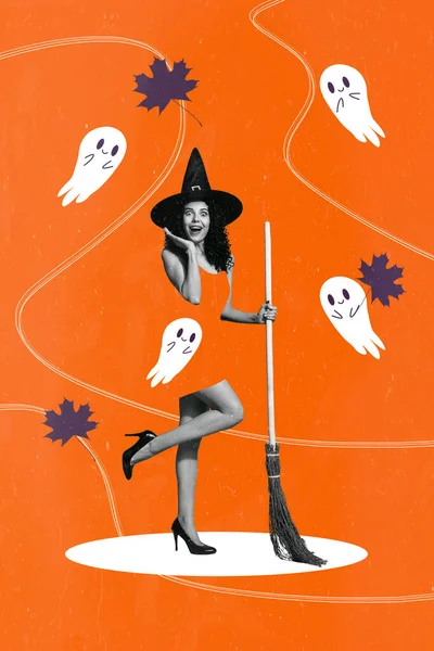 Creative Pop Koláž Umělecké Dílo Plakát Skica Atraktivní Mladé Čarodějnice — Stock fotografie