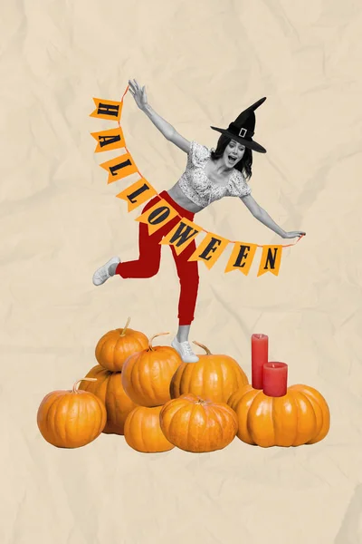 Magasin Affisch Collage Rolig Dam Häxa Kostym Stå Pumpa Halloween — Stockfoto