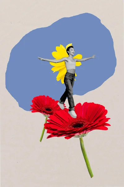 富有创意的照片3D拼贴艺术海报明信片快乐的年轻浪漫的梦想享受飞翔翅膀好心情孤立在绘画的背景下 — 图库照片