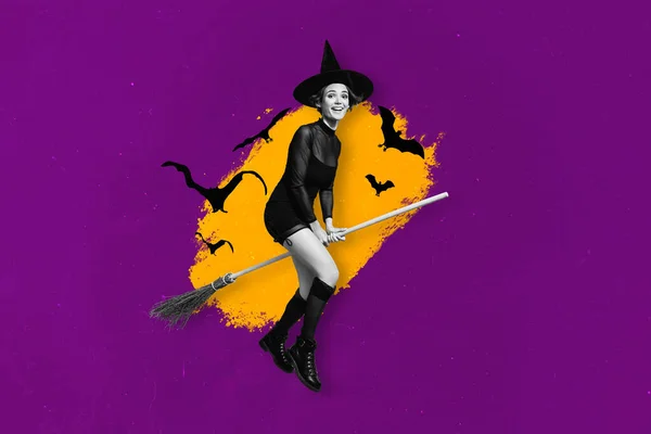 正の魔女の女の子黒白ガンマ飛行ほうき棒の複合コラージュイメージは 紫色の背景を描く上で単離 — ストック写真