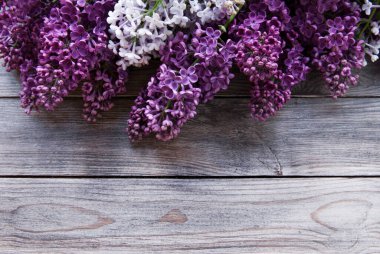 Ahşap arka planda farklı renkte leylaklar