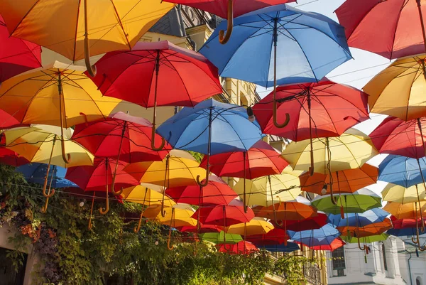 Bright and colorful umbrellas decorate a restaurant. The house covered with wild grapes in Kyiv, Ukraine