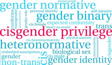 Beyaz bir arkaplanda Ciscinsiyet Ayrıcalıklı kelime bulutu. 