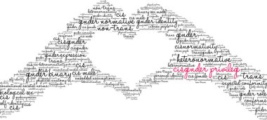 Beyaz bir arkaplanda Ciscinsiyet Ayrıcalıklı kelime bulutu. 