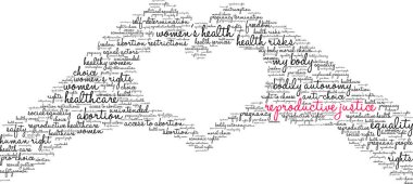 Beyaz arka planda Üreme Adalet kelime bulut. 