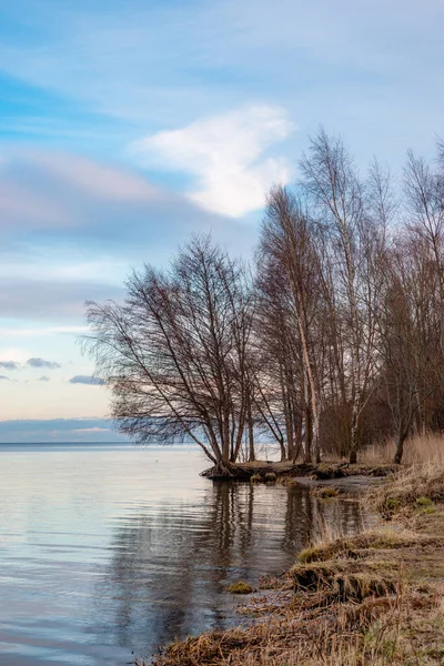 Zimowy Krajobraz Plaży Pucku — Zdjęcie stockowe