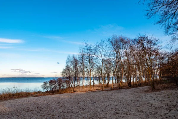 Zimowy Krajobraz Plaży Pucku — Zdjęcie stockowe