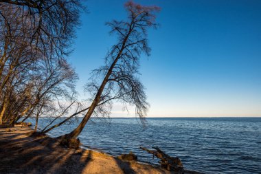 İskeleden sonbahar denizi manzarası
