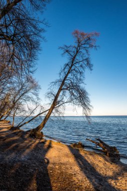 İskeleden sonbahar denizi manzarası