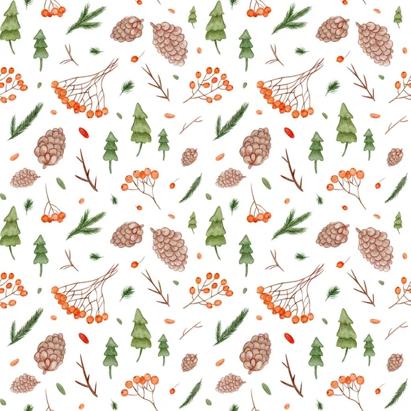 Seamless pattern of watercolor leaves and red berries hawthorn, christmas tree, cones and branches. — Stock Photo, Image