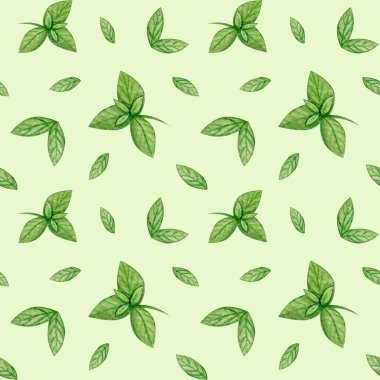 Nane yapraklı, renksiz desenli. Suluboya el çizimi tasarımı