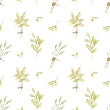 Bitkiler dikişsiz suluboya desenli dizayn. Yazdırılabilir ürünler için elle çizilmiş illüstrasyon. Bahçe teması