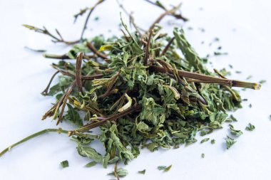 Beyaz arkaplanda izole edilmiş kuru nane şekerleri.