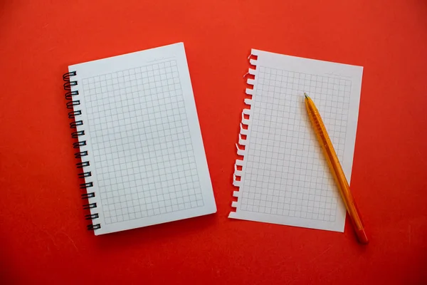 Blank Open Notebook Pen Isolated Red Background Top View Flat — Stock Photo, Image