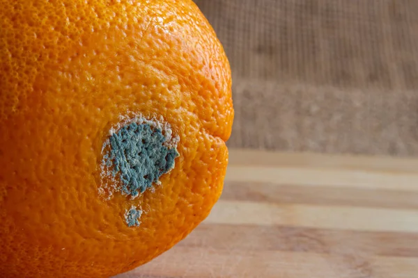 Fruta Laranja Bolorenta Perto Laranja Podre Conceito Desperdiçar Comida Frutas — Fotografia de Stock