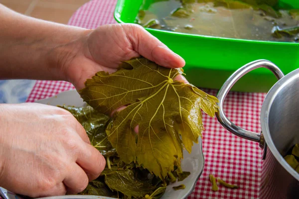 Woman Preparing Stuffed Grape Leaves Homemade Cooking Concept Traditional Turkish — Stock Photo, Image