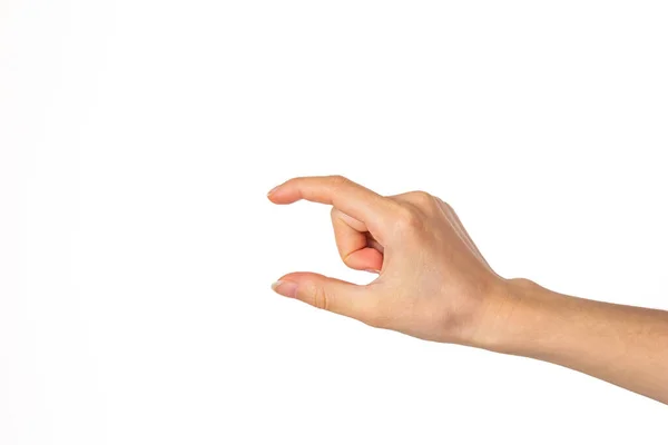 Hand Holding Something Isolated White Background — Stock Photo, Image