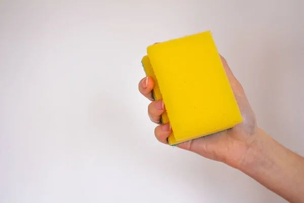 Hand Holding Yellow Sponge Isolated White Background — Stock Photo, Image