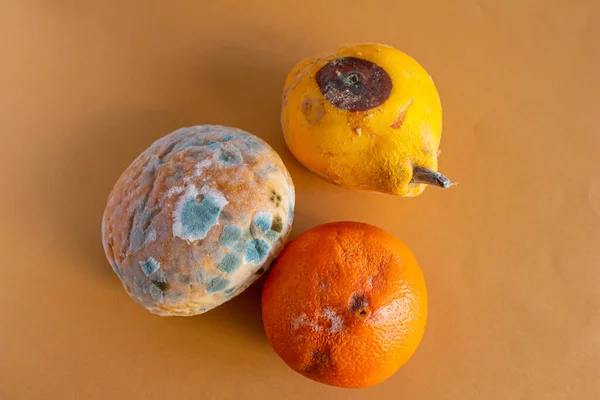 Moldy foods. Top view of rotten bread, orange and quince on color background. Mildew covered bread and fruits. Concept of wasting food.
