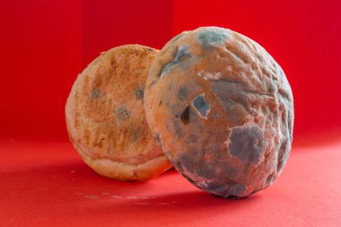 Küflü ekmek. Kırmızı arka planda çürük ekmeğin yakın plan fotoğrafı. Uzun zamandır bekliyorum. Yemek israfı kavramı. Küf kaplı yiyecek..